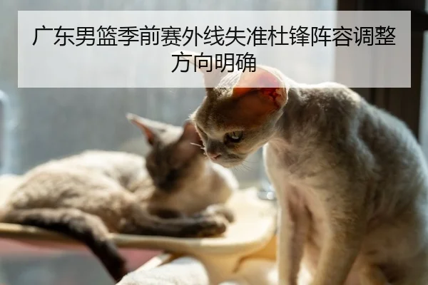 广东男篮季前赛外线失准杜锋阵容调整方向明确 | hth.cnapp