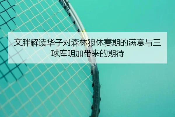 文胖解读华子对森林狼休赛期的满意与三球库明加带来的期待 | hth.cnapp